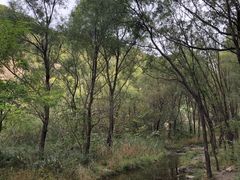 -碓臼峪自然风景区