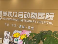 -德元·美联众合24小时动物医院(总院)