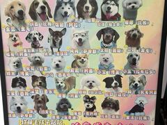 -汪说·狗咖·拼豆·宠物周边DIY(旺城大厦店)