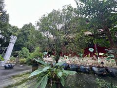 -南岳明心寺