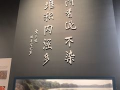 -柳州白莲洞洞穴科学博物馆
