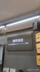 -藤野造型