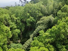 -南山植物园