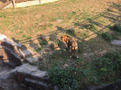 -无锡动物园·太湖欢乐园