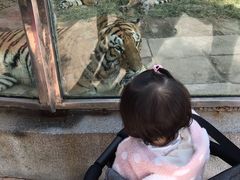 -荆州中山公园动物园