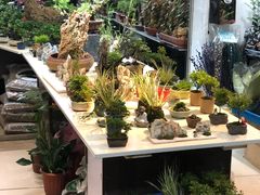 -无锡文化工艺品市场(槐古路店)
