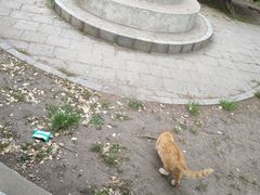 -贮水山儿童公园