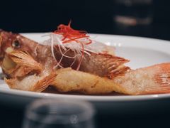 油浸东星斑-宝丽轩中餐厅BAOLIXUAN