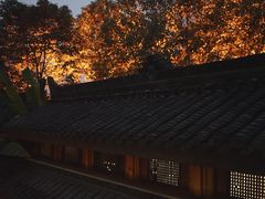 -鱼桥巷·美学川菜