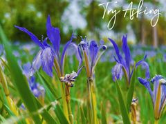 -天津东丽湖风景区