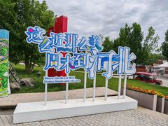 -白洋淀景区