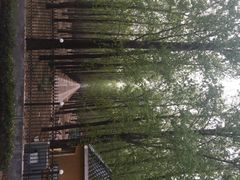 顺鑫绿色度假村贵宾楼-顺鑫绿色度假村