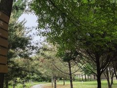 -森林公园(尖草坪区)