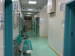 -北京观赏动物医院·24小时大型综合·猫专科·异宠专科
