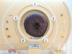 -广州神农草堂中医药博物馆