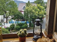 -马灯部落·西湖边的创意山景餐厅(虎跑动物园店)