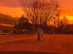 -金泽21世纪美术馆