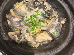 -邹开喜·炭炉鸡煲·海鲜火锅(虹口足球场店)