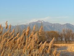 -野鸭湖国家湿地公园