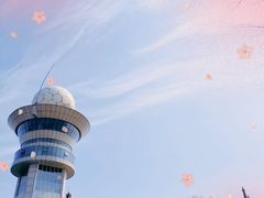 -长沙黑麋峰国家森林公园