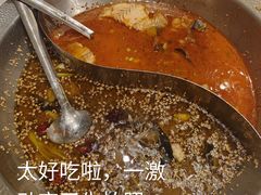 -大河宴椒麻鱼(嘉和园店)