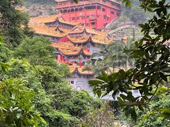 -东莞市大岭山森林公园