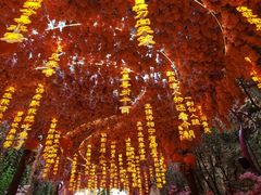 -北京欢乐谷