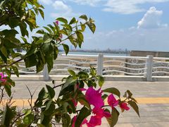 -海堤纪念公园