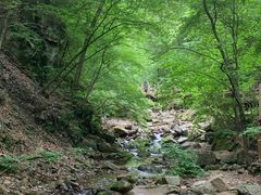 -本溪汤沟绿石谷森林公园