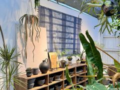 -自由生长植物工作室(深港花卉中心店)