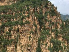 -金杏·粘卷子 烤鸭 农家菜