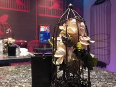 -欢乐迪KTV(观音桥未来国际店)