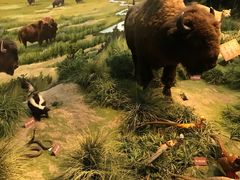 -陕西自然博物馆