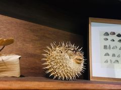 -悉尼海洋生物水族馆