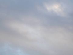 -猫的天空之城概念书店(苏州平江店)