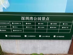 -深圳湾公园(南山区)