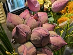 -双季花艺园艺市场(浦东店)