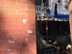 门面-璐坊粽王(复兴中路店)