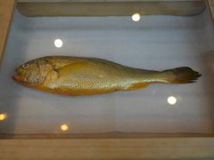 -新荣记(新源南路店)