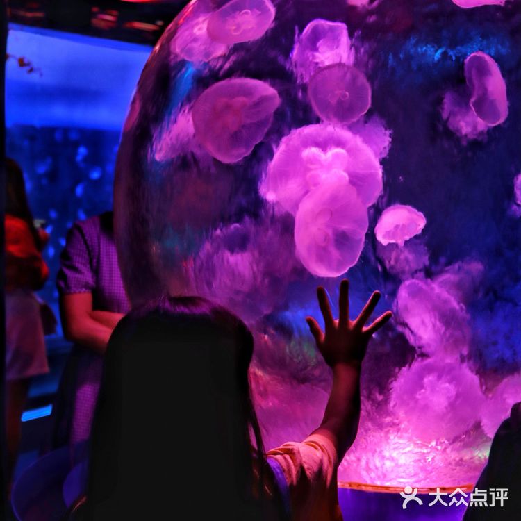 溜娃好去处｜🐠正佳极地海洋世界好玩又好睇