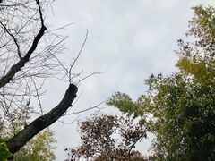 -西安国际创新人才交流中心•药浴温泉
