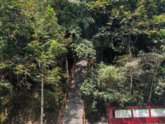 -云碧峰国家森林公园