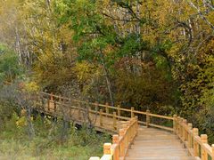 -塞罕坝国家级自然保护区