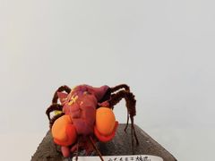 -tomato蕃茄田艺术(新天地中心)