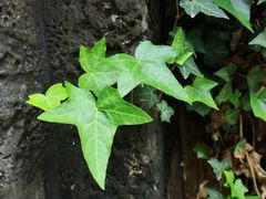 -东沙渔村
