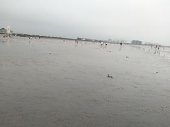 -奉贤海滩