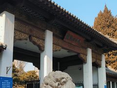 -团结湖公园