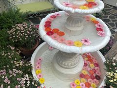 -秀儿家の小确幸花园西餐厅