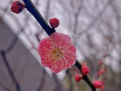 -静安雕塑公园
