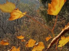 -阳台山自然风景区